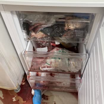 Vestel Yetkili Servisten Şikayetçiyim