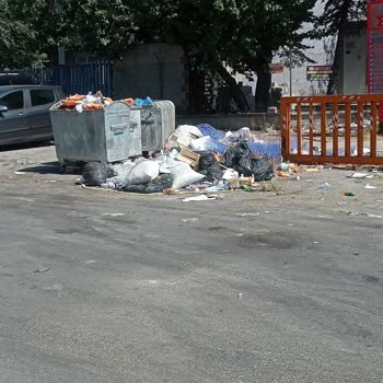 Yenimahalle Belediyesi Çalışmıyor Çöpler Bir Aydır Alınmıyor