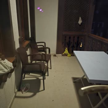 Taraklı Termalde 3. Katta Fareler Geziyor, İlgisiz Yönetim.