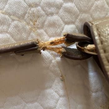 Tamer Tanca Şikayetçiyim