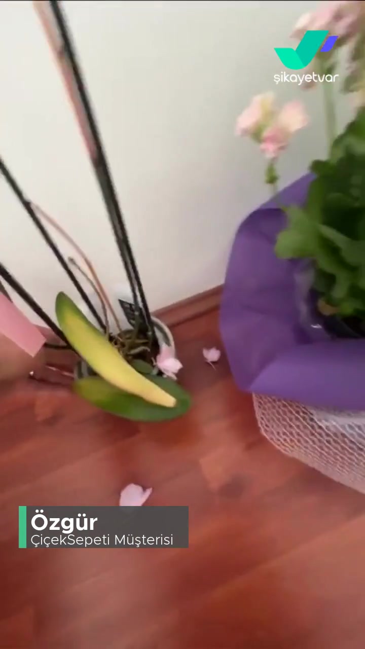 Çiçek Sepeti Orkide Hemen Soldu! videonun kapak resmi