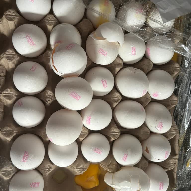 Şok Market Online Siparişimde Kırık Yumurta Ve Yırtık Poşetler