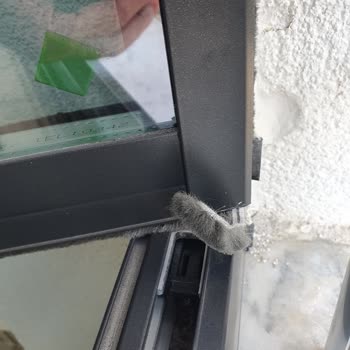 Albert Genau Elazığ Bayisinde Yaşanan Montaj Ve İmalat Sorunları