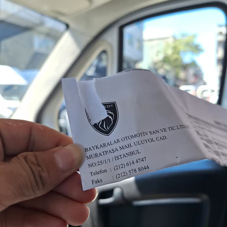 Peugeot Yetkili Servisinde Uzun Bekleme Süresi Ve Saygısız Davranış