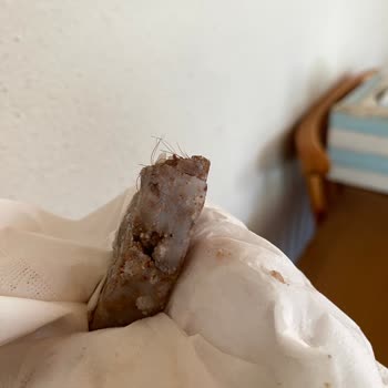 Başyazıcı Kavurmadan Kıl Çıktı