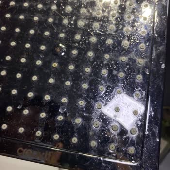 Creavit Tepe Duş Başlığı Paslandı & Kaplaması Soyuldu