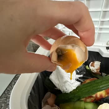 Migros Mlife Organik Yumurta Bozuk Çıkıyor