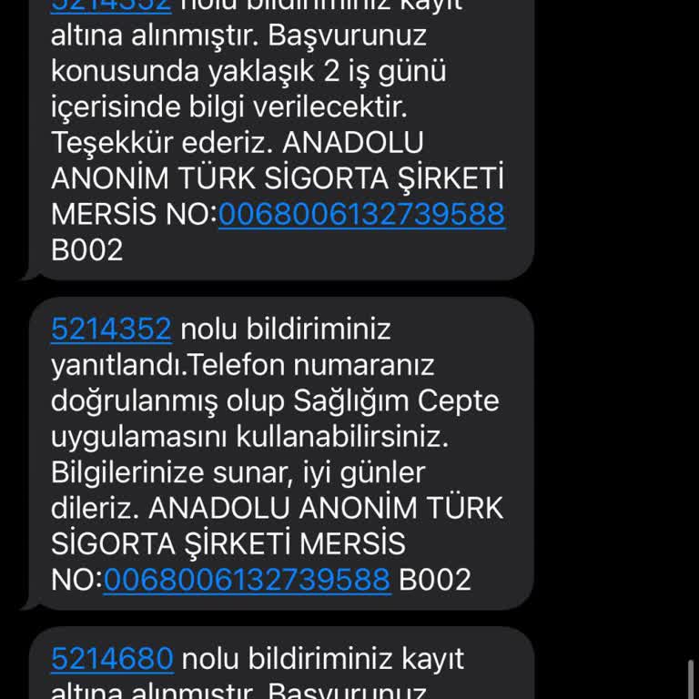 Anadolu Sigorta Uygulama Giriş Hatası