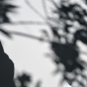 İsfalt Yol Çalışması Nedeniyle Araç Hasarı