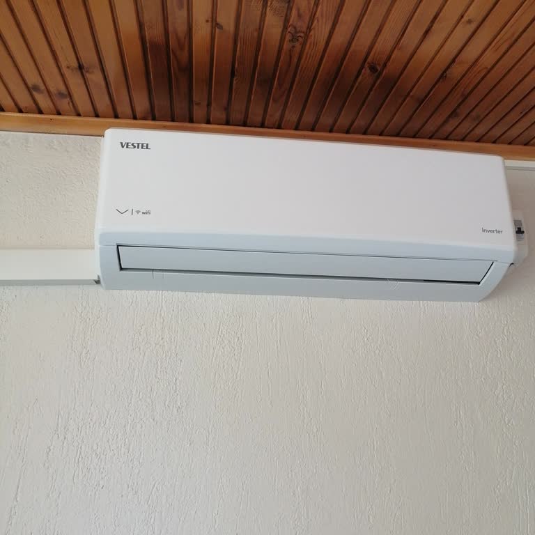 Vestel Tüketici Olarak Mağdurum