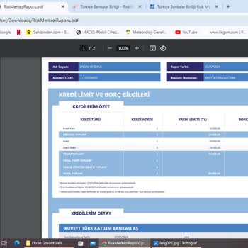 TBB Risk Merkezi. Risk Merkezi Raporunda Borç Görünmesi