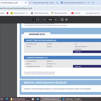 TBB Risk Merkezi. Risk Merkezi Raporunda Borç Görünmesi