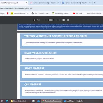 TBB Risk Merkezi. Risk Merkezi Raporunda Borç Görünmesi