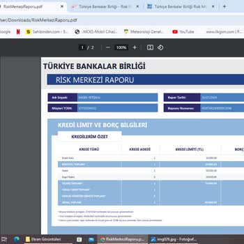 TBB Risk Merkezi. Risk Merkezi Raporunda Borç Görünmesi