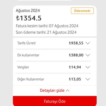 Yanlış Fatura Tutarı ve Müşteri Hizmetlerine Ulaşamama Sorunu