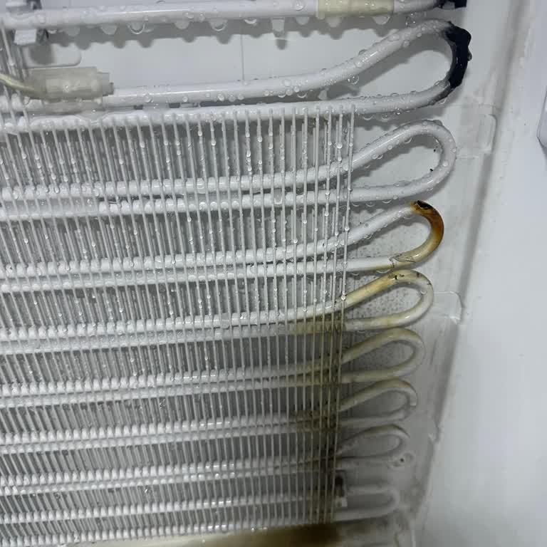 Samsung 7 Yıllık Samsun Buzdolabı Arızası