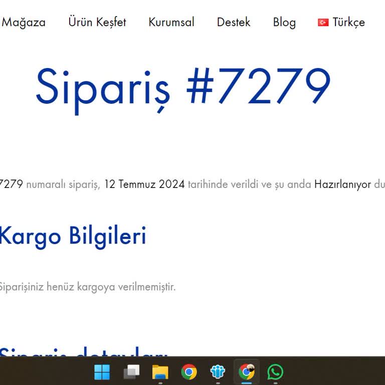 Sineklikdeposu.com Ürünlerimi Göndermedi