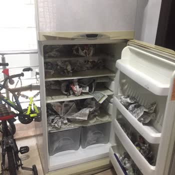 Neova Sigorta A. Ş Bina Teminatlı Konut Sigortası