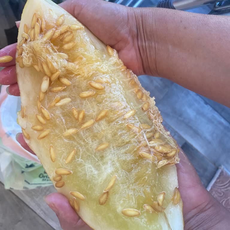 Burhaniye Migros Sanal Market Bozulmuş Ürünleri Gönderiyor.