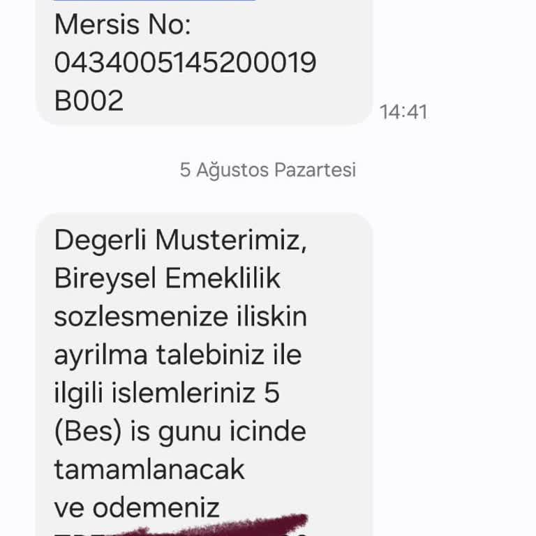 Türkiye Hayat Emeklilik BES İptali Para Bekletme 20 Gün