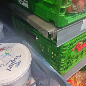 BİM Market Rafları Gömleğimi Yırttı, Dalga Geçtiler