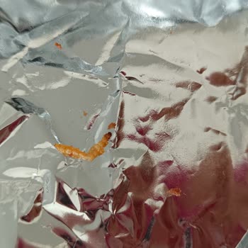 BİM Kekin İçinde Kurt Çıktı