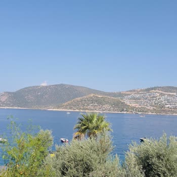 Eki aç
