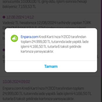 2024 Yılında Dyson Web Sitesinden Sipariş Oluşturulamaması