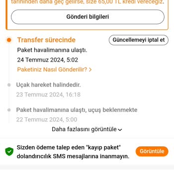 Temu Paketim Havalimanında Takılı Kaldı