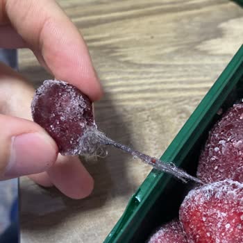 Migros Lavi Marka Sason Çilekten Kıl Yumağı Çıktı