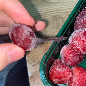 Migros Lavi Marka Sason Çilekten Kıl Yumağı Çıktı