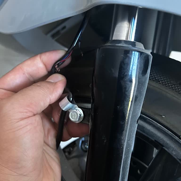 Mondial Ve Yetkili Servisi Pişmanlıktır.