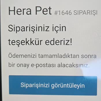 Hera Pet Kedi Su Yatağı Siparişi Hala Kargolanmadı