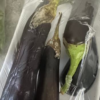 Bozuk Ürün Migros Hemen