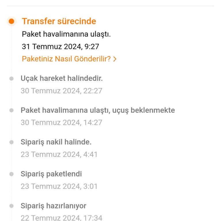 Temu Siparişim Havaalanında Bekletiliyor.