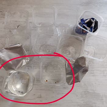 Karacakaya Su Karacakaya Pet Sulara Dikkat!