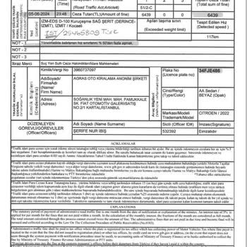 Goldcar Kiralama Şirketi Trafik Cezası