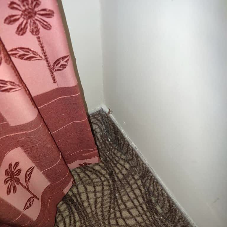 Tatil Sepeti Rezervasyon Sorununun Giderilmemesi Ve Kötü Hizmet