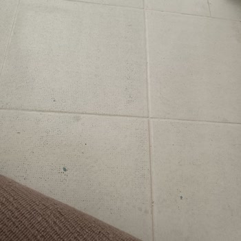 Bianca Boya İle Yaşanan Fayans Sorunu