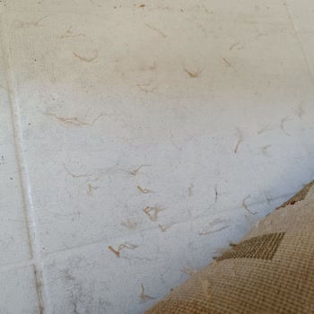 Bianca Boya İle Yaşanan Fayans Sorunu