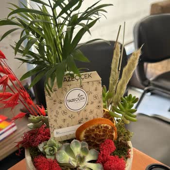 Taze Çiçek (tazecicek.com) Tazeçicek Çürük Çiçek