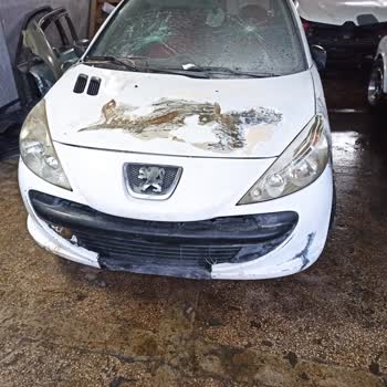 Autogong Adlı Şirketin Sorunları.