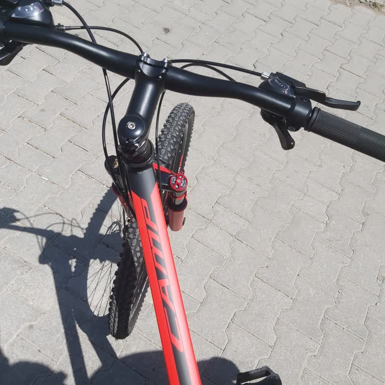 Belderia Camp Bisiklet 4.1