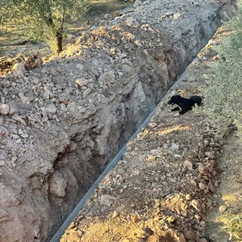 Villabi Talihsizliği, Tatilimizi Hastanede Geçirdik