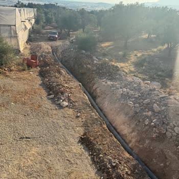 Villabi Talihsizliği, Tatilimizi Hastanede Geçirdik