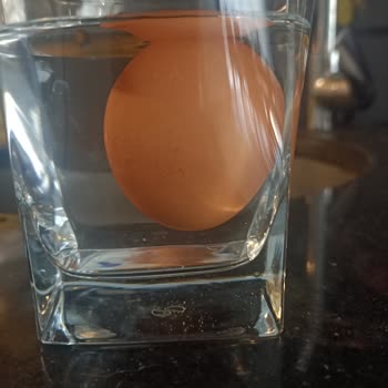 Tarım Kredi Kooperatif Market Tarım Kredi Bozuk Organik Yumurta