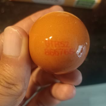 Tarım Kredi Kooperatif Market Tarım Kredi Bozuk Organik Yumurta