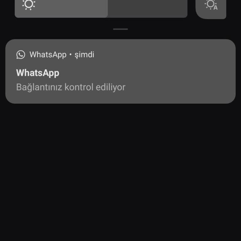 Oppo Reno 4 Lite Sorunu