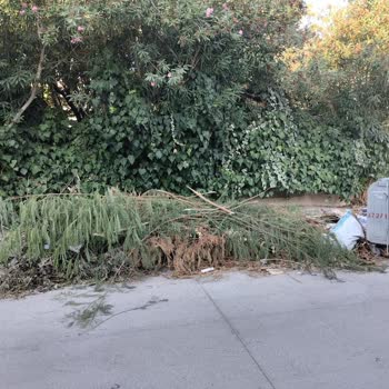 Bornova Belediyesi Çöpleri Toplamak İçin Davetiye Mi Bekliyor?