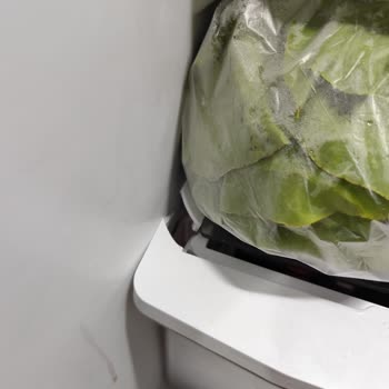 Uğur Soğutma Yeni Aldığım Dolabın Kapak Ve Raf Sorunları